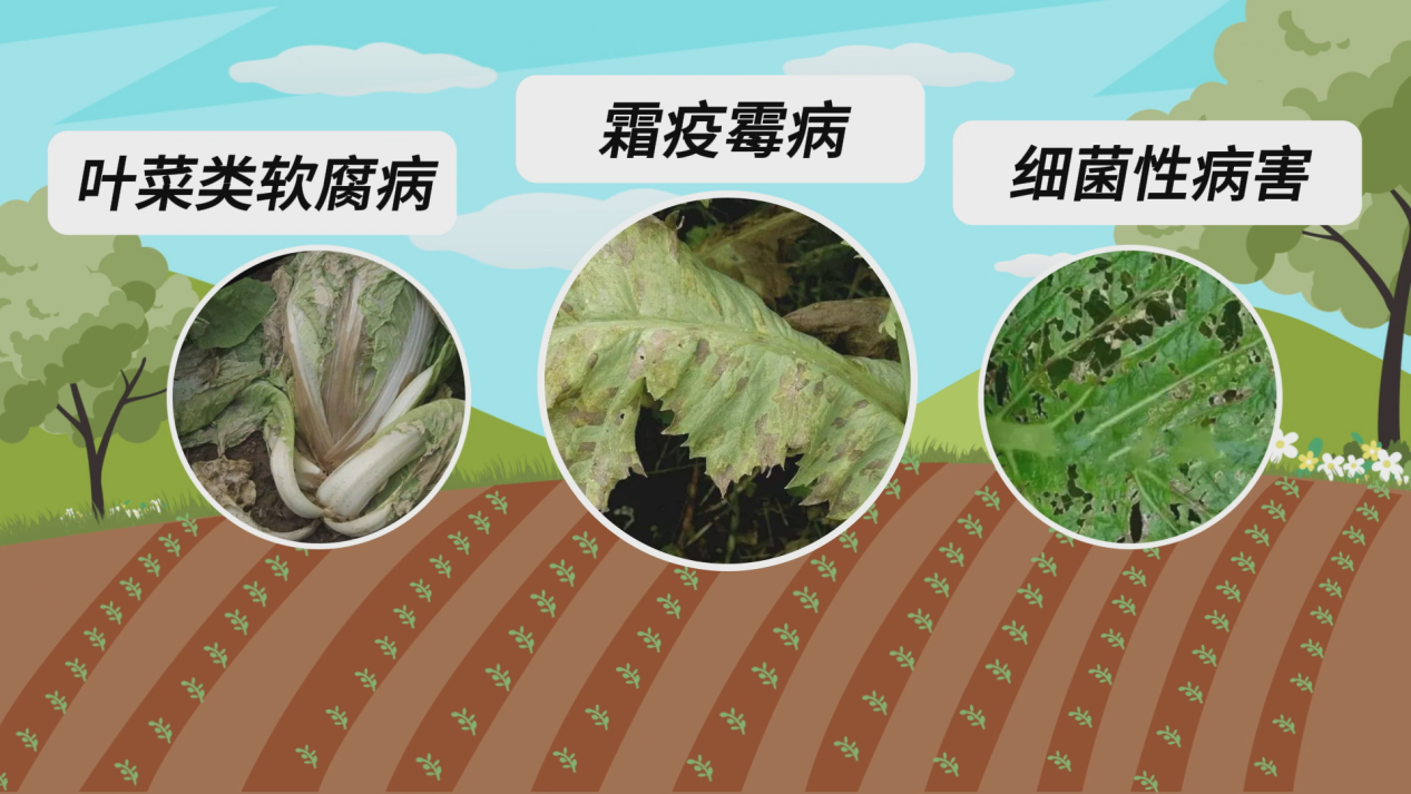 图片 8.png