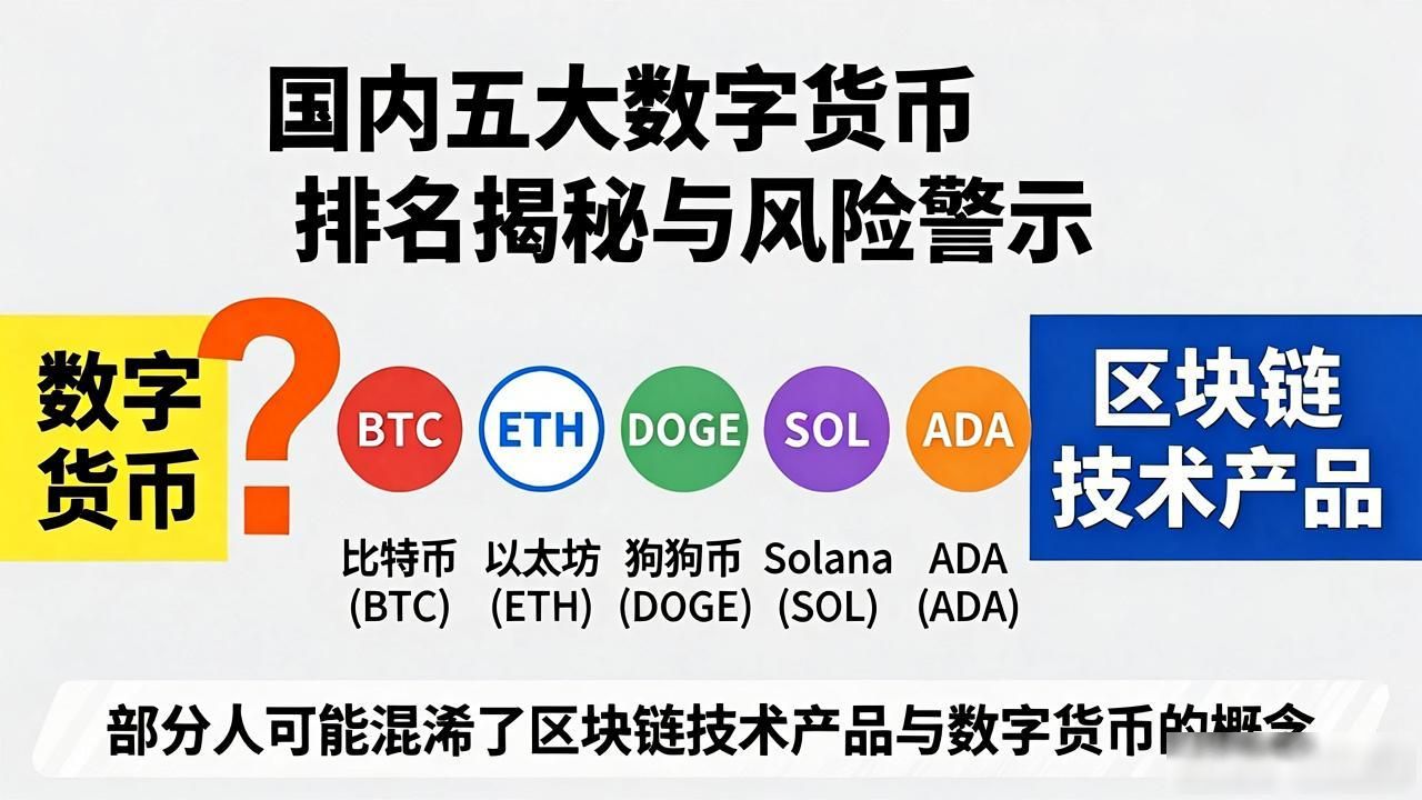 国内五大数字货币排名揭秘与风险警示-第1张图片-imToken 官网｜全球领先多链去中心化钱包｜BTC ETH NFT DeFi 管理工具